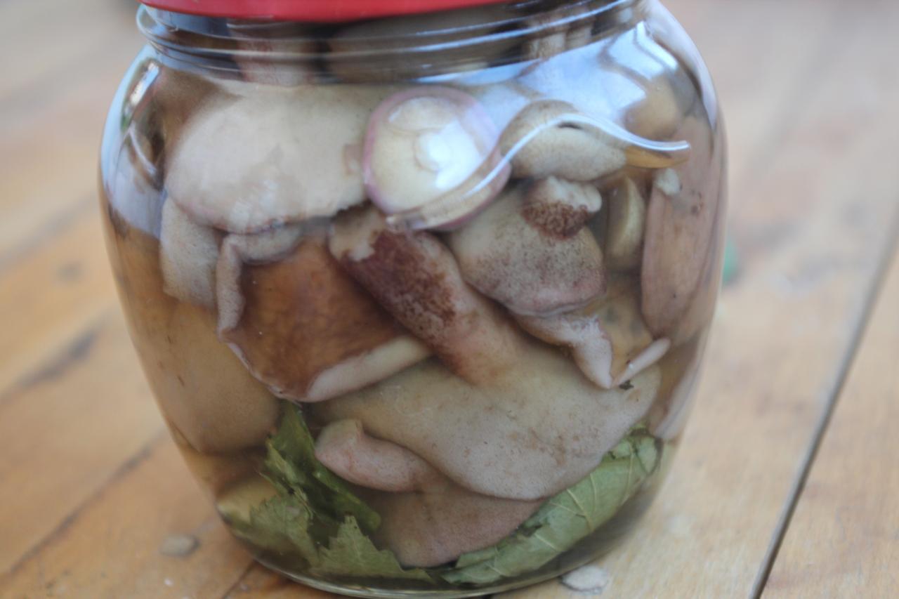 Маслята маринованные и другие грибочки
